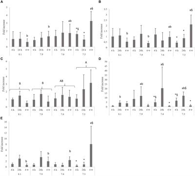 Effects of Water Acidification on Senegalese Sole Solea senegalensis Health Status and Metabolic Rate: Implications for Immune Responses and Energy Use